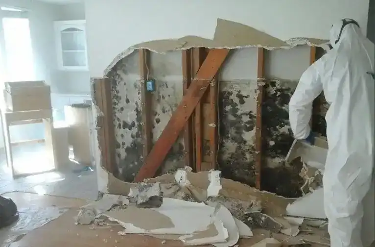 Mold and water damage exposed in a wall cavity
